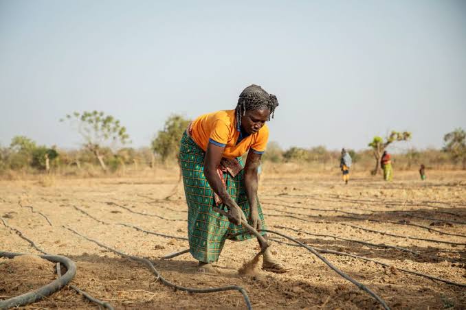 Woman farming in a garden in Burkina Faso despite climate challenges.