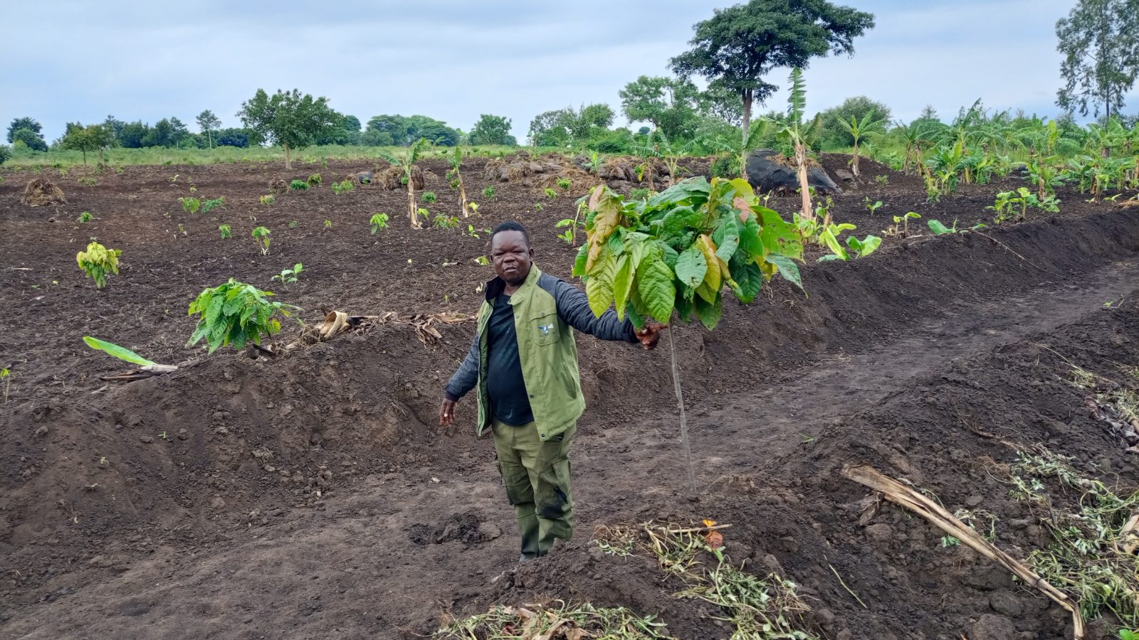 Tabu Sam standing in his four-acre cocoa farm in Yumbe District, Uganda.