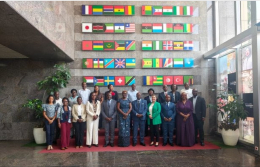 African Development Bank and ATAF seminar on gender-responsive taxation and women's economic participation in Africa.