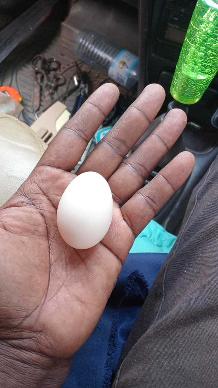 Former Maracha East parliamentary candidate Asau Sunday promoting commercial indigenous chicken farming as a source of household income in West Nile.