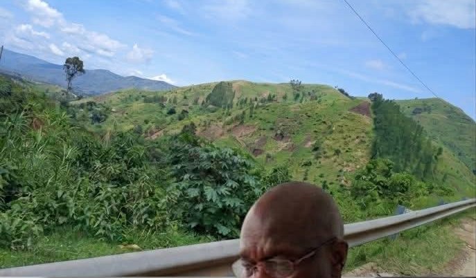 Terraced farm plots climbing the steep green slopes of the Rwenzori Mountains in western Uganda